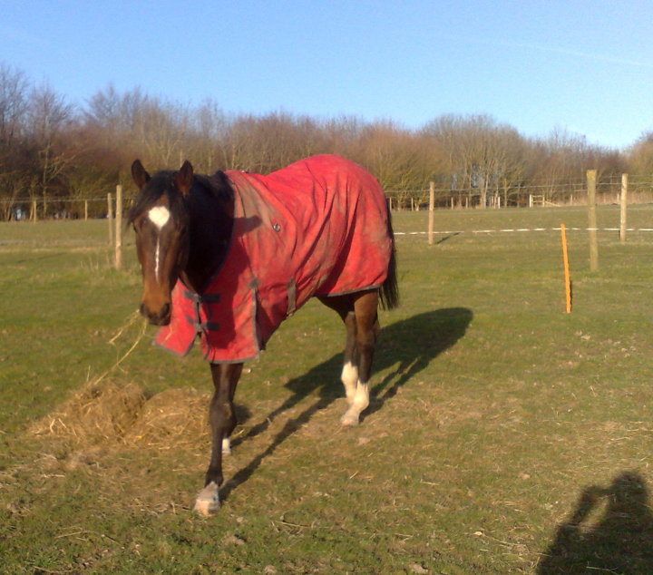 Some lesser spotted sunshine!
