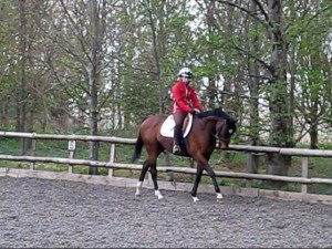 Look I can do dressage!