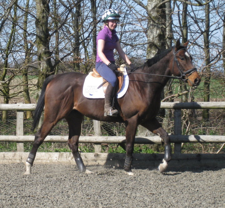 Wide hands to steer my wobbly baby horse