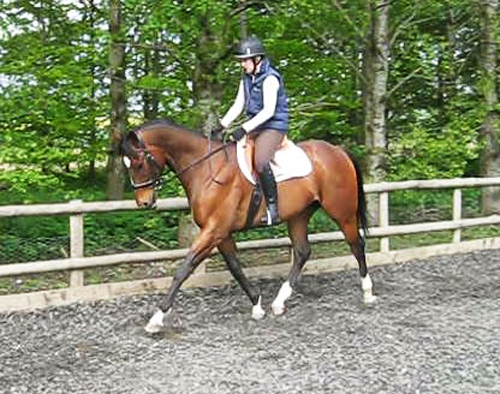 This is going to be the ridden advert photo