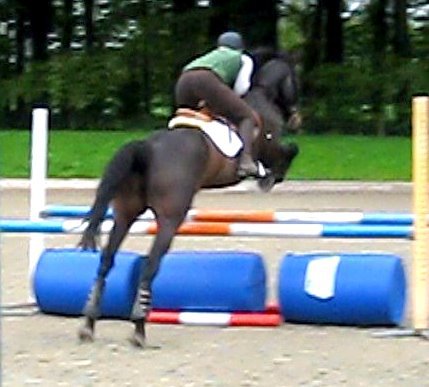 2nd part of the double - Nice tidy front legs & equal push off from behind