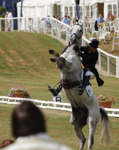 'Elevated Paces' for poor Dag Albert 