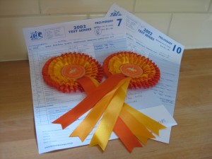 Orange ribbons for 'Soap's good behaviour pin board'