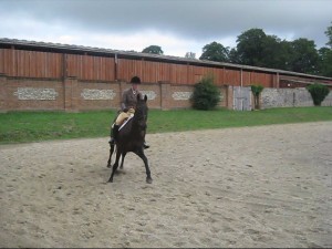Not 'quite' so well behaved, I think a scary leaf had spooked him!