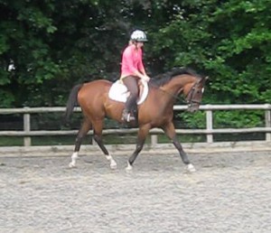 Dustry strutting his stuff!